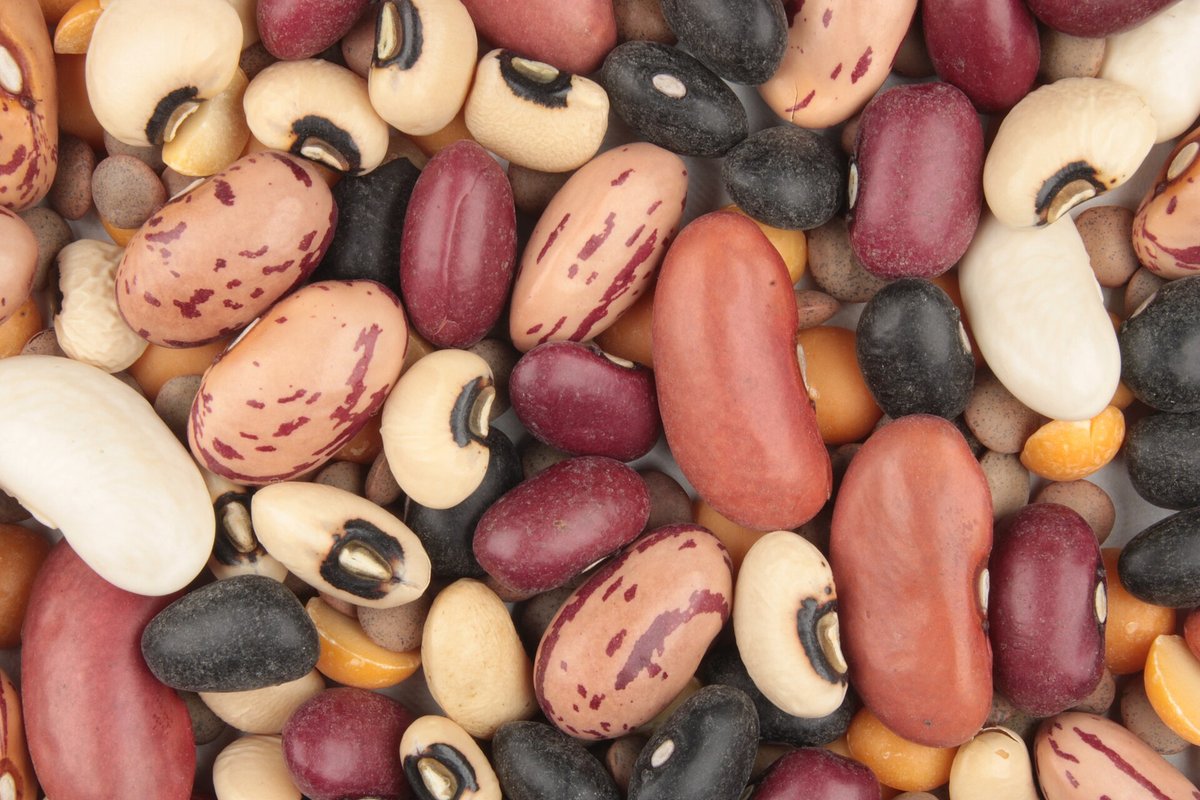 Mélange de haricots secs et de légumineuses variées